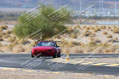 media/Mar-06-2025-Doghouse Garage (Thu) [[744e530cb1]]/3-Private Group/Session 1 Turn 5 Tree of Life/
